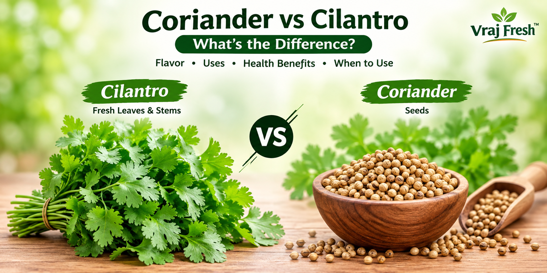 Coriander vs Cilantro: What's the Difference?