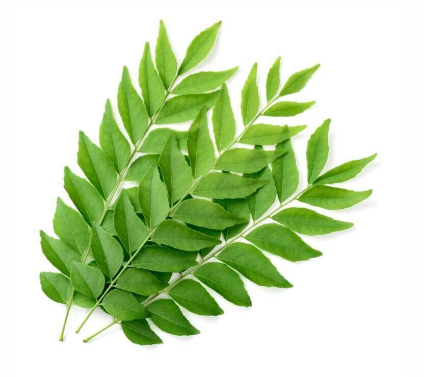 Curry Leaves Bag (1/4 oz)