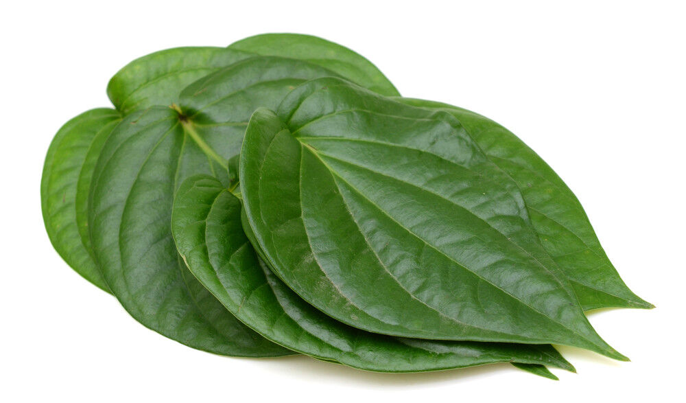 Paan Leaves (Betel Leaves) Packet (5 Pcs)
