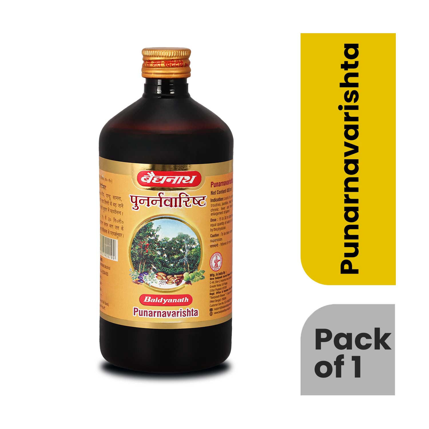 Baidyanath Punarnavarishta Syrup (450ml)