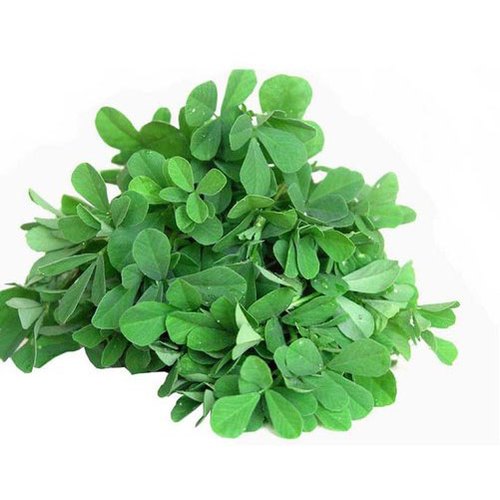 Methi Fresh Leaves - Bunch