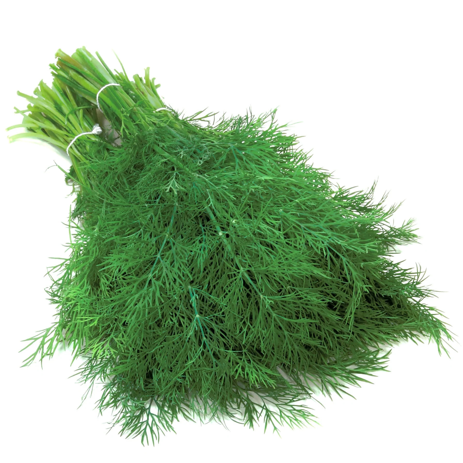 Suva Dill - Bunch