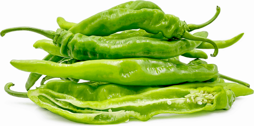 Long Hot Chilli
