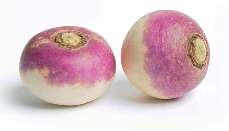 Turnip (Salgam) - Each