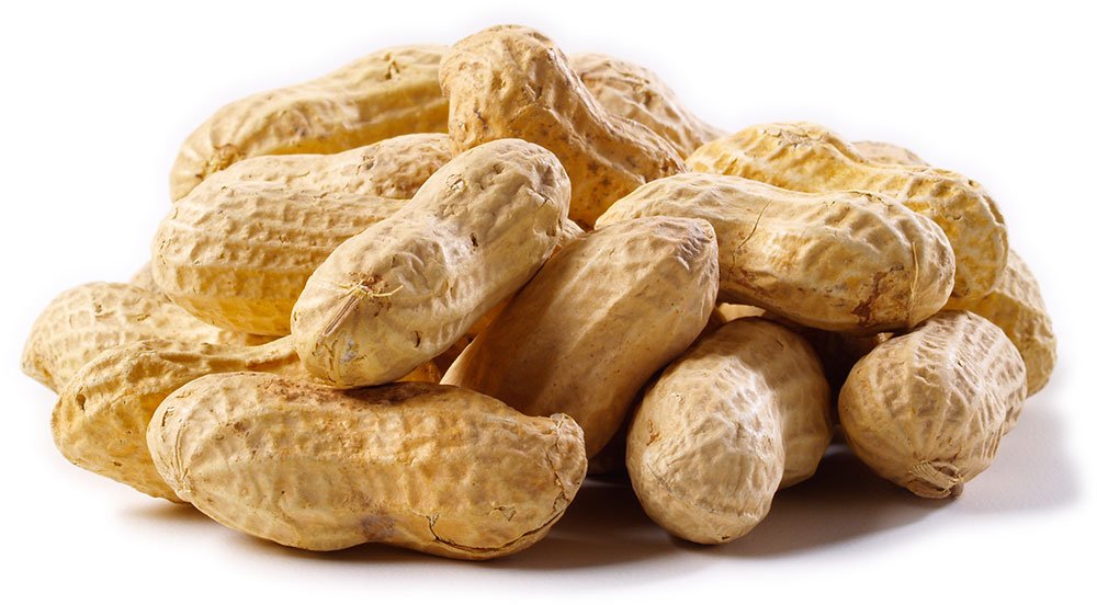 Peanut Fresh 0.5LB