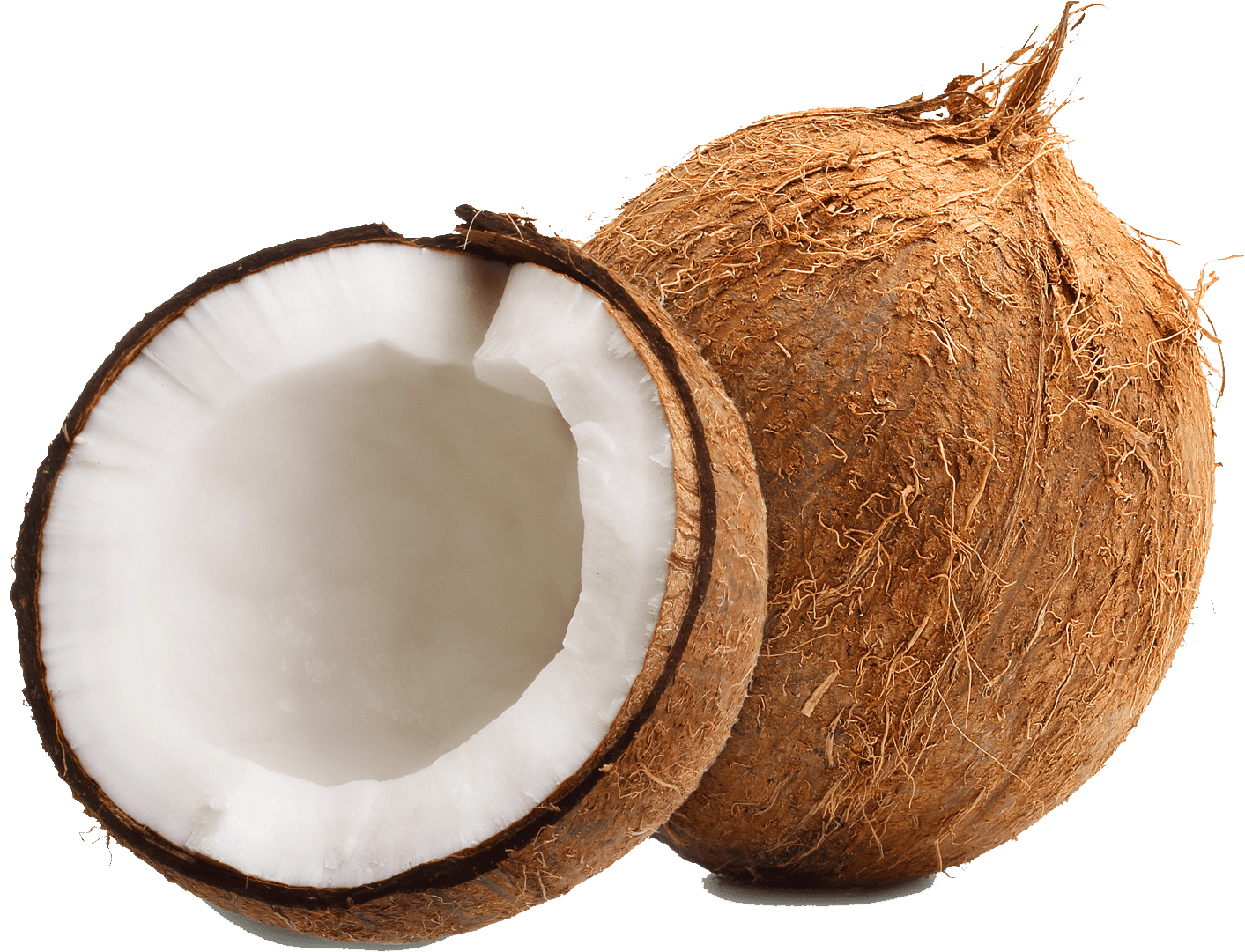Coconut - Each