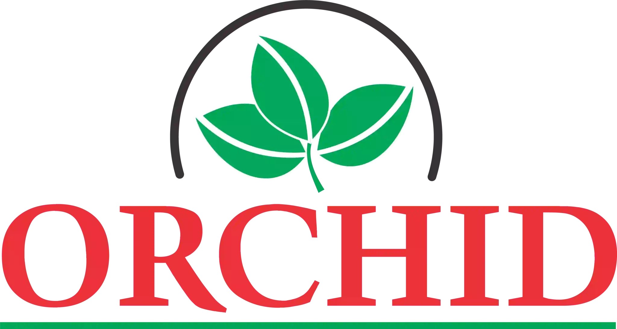 Orchid Nylon Poha - Flattened Rice  (800g  28Oz)