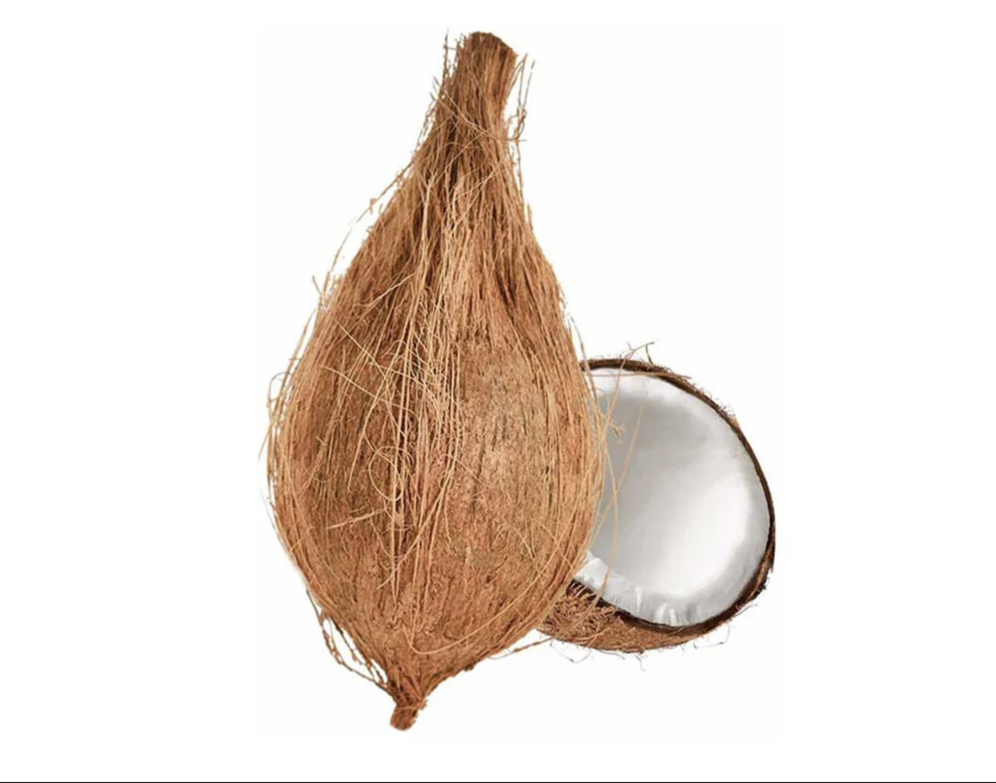 Pooja Coconut - Each