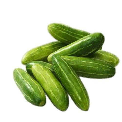 Tindora Fresh - 1LB
