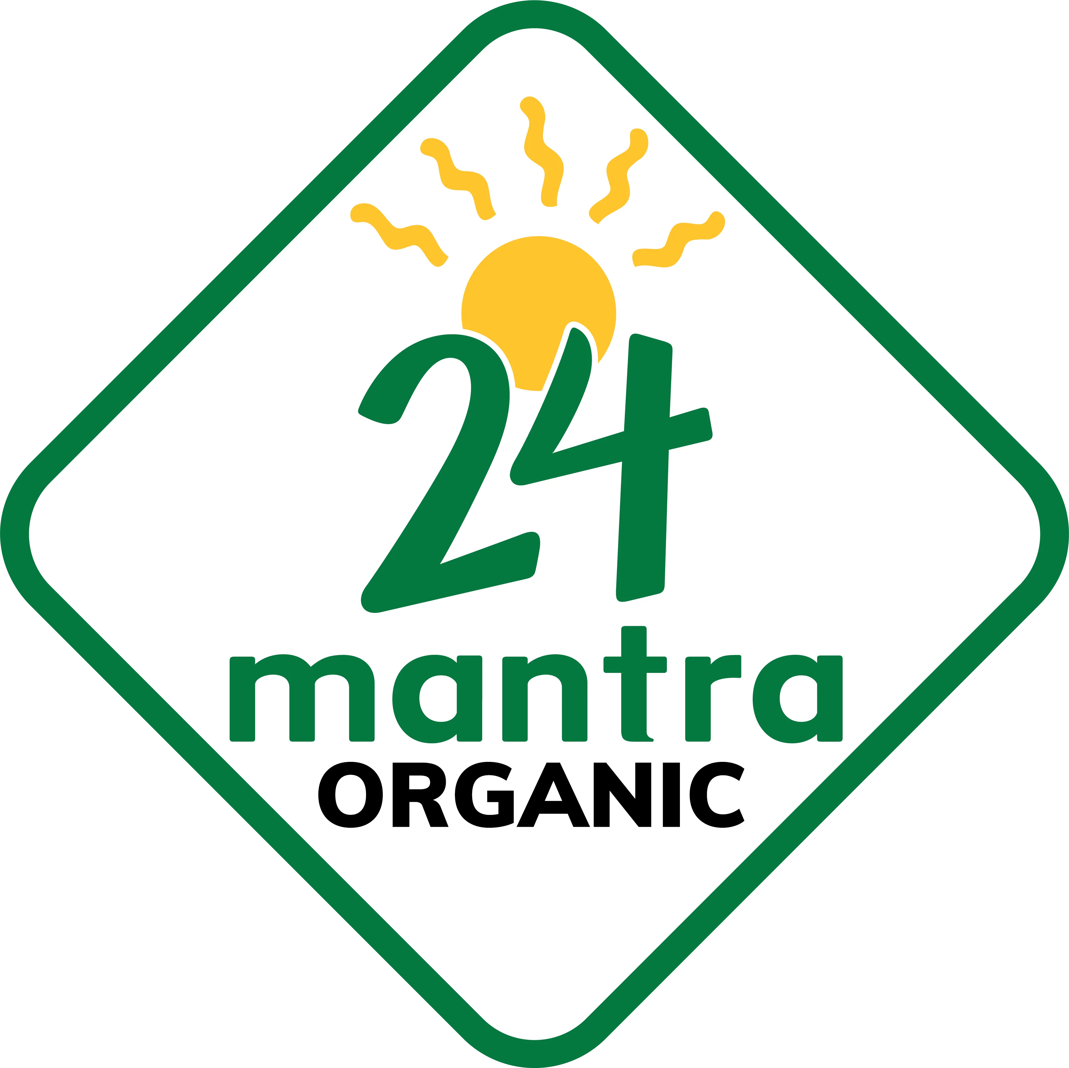 24 Mantra Organic Harabara Kabab 20 Pcs (400g 14.1Oz)