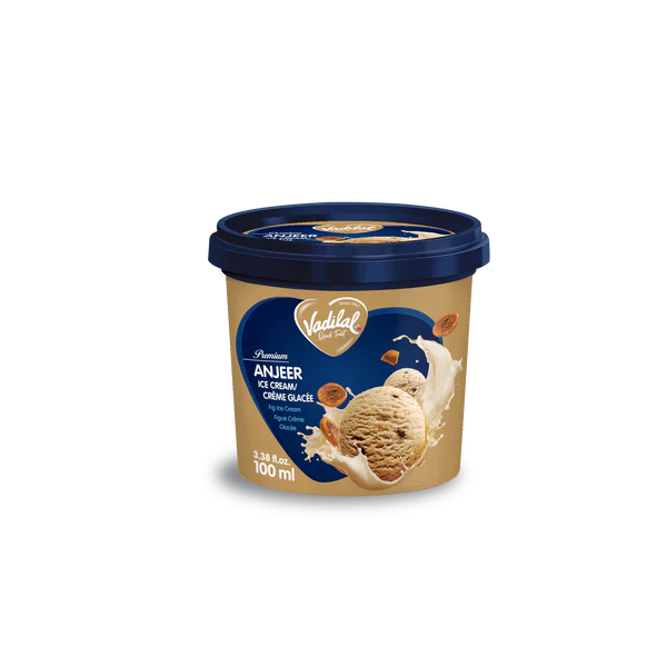 Vadilal Anjeer Ice Cream
