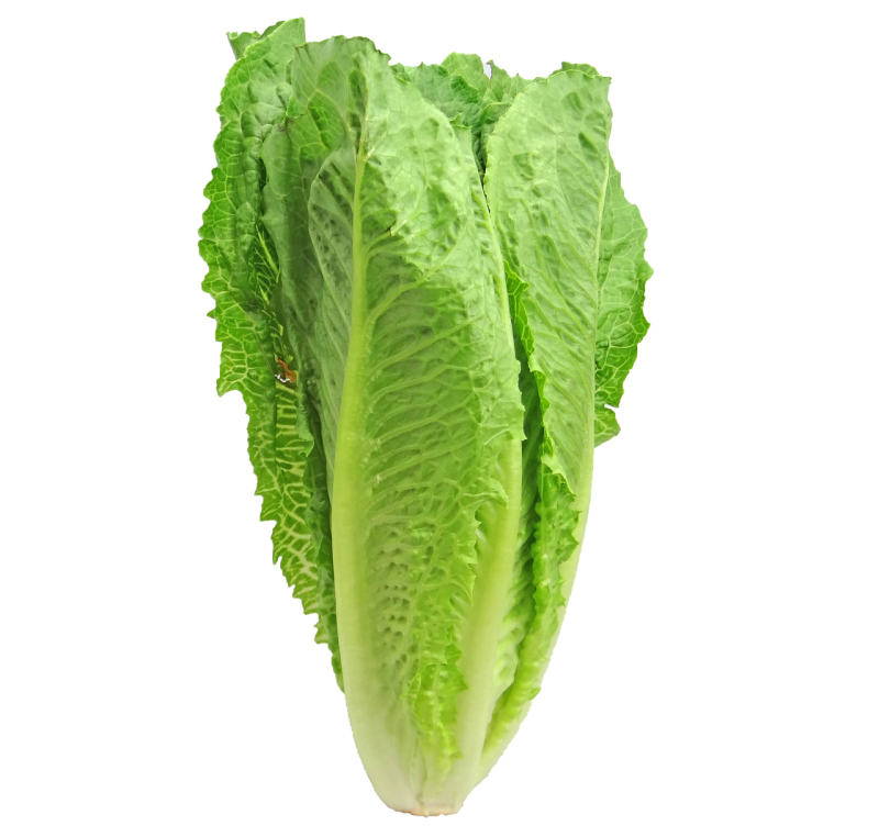 Lettuce Romaine - Each