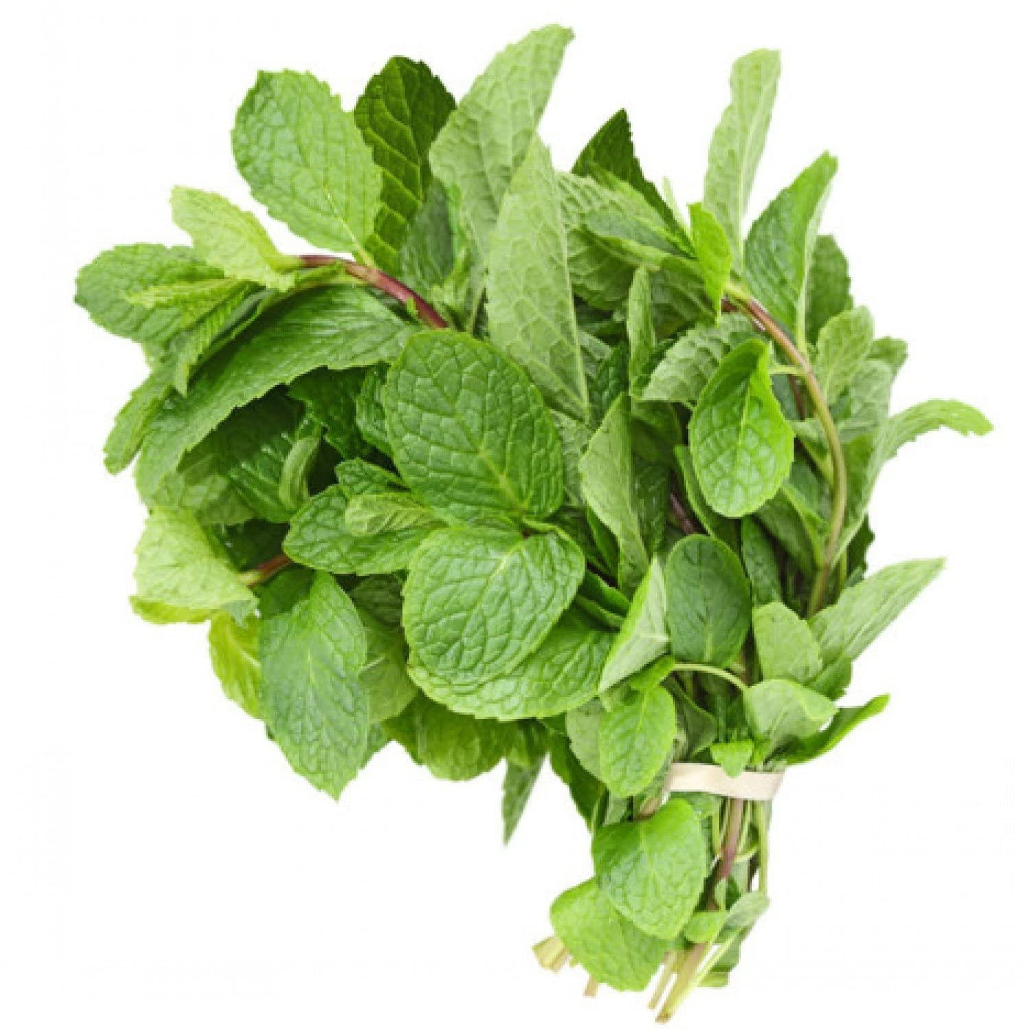 Mint Leaves - Bunch