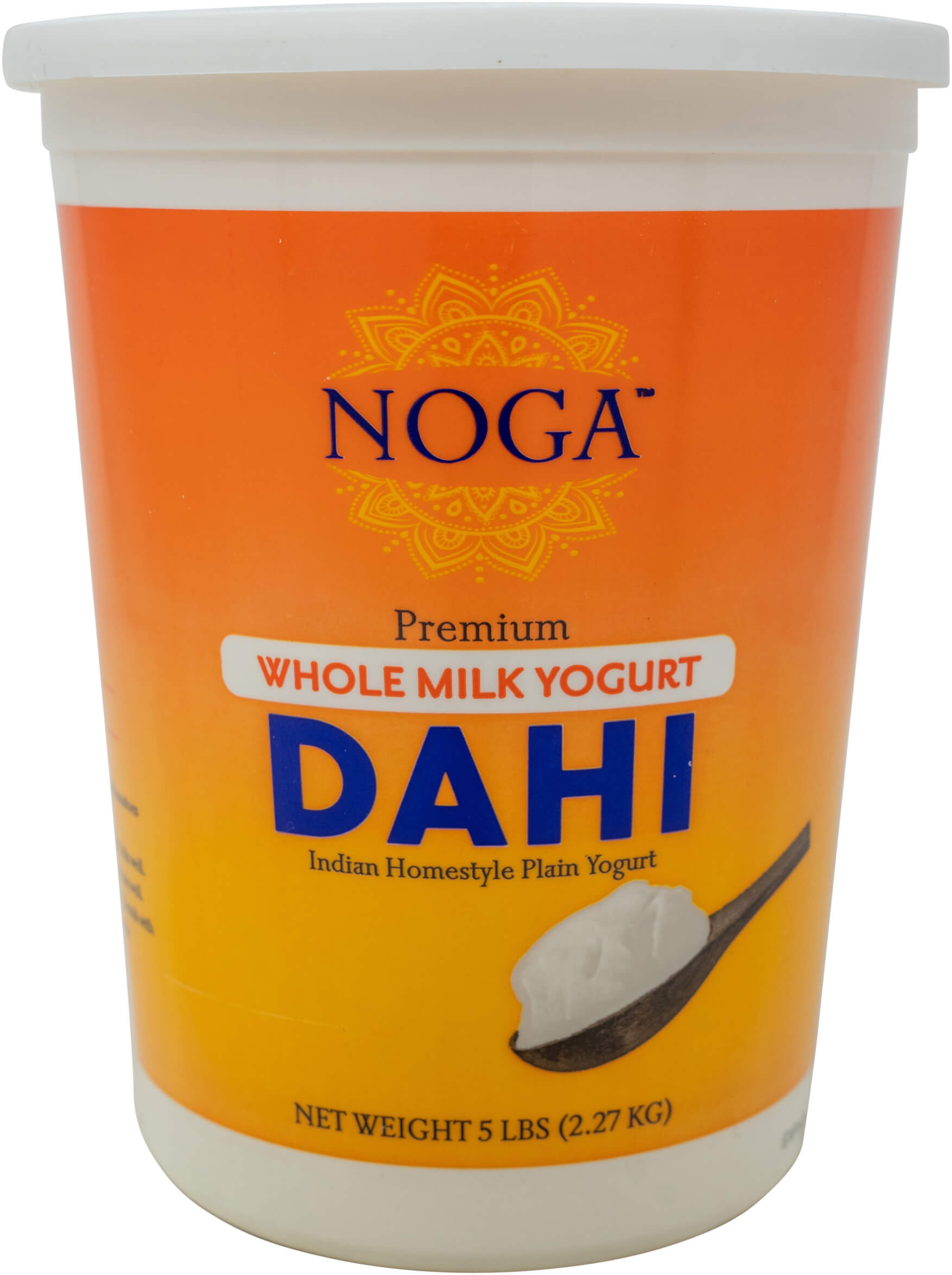 Noga Whole Milk Yogurt Dahi (4Lb)
