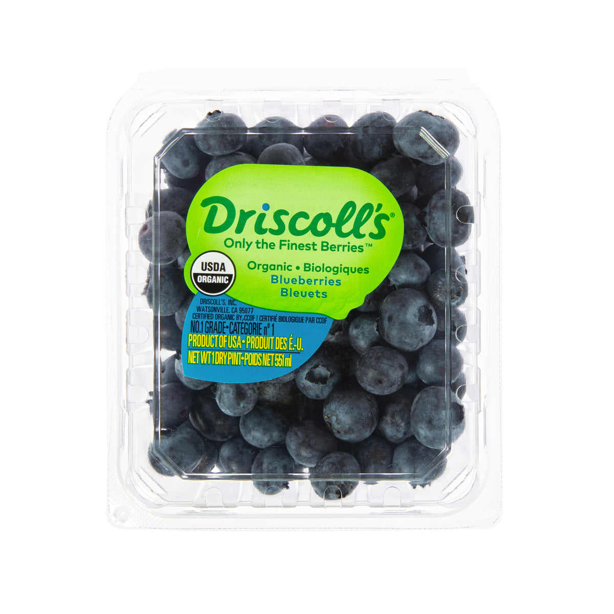 Blueberry