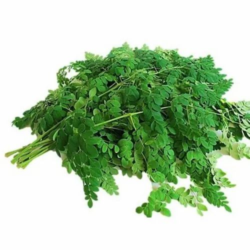 Drumsticks Leaves (3 OZ Bunch)