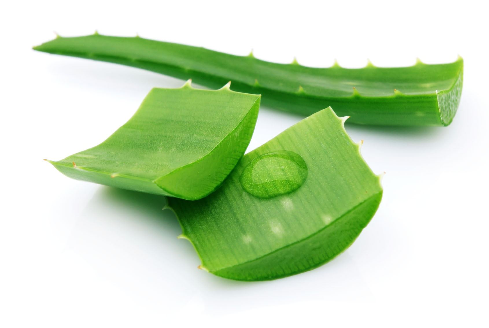 Aloe Vera - Each